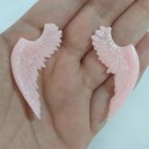 Brinco de Asas Rosa